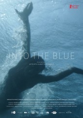 into the blue